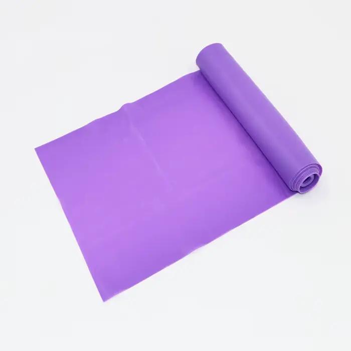 Bandes de résistance élastiques pour Yoga Pilates entraînement corporel Portable entraînement de for