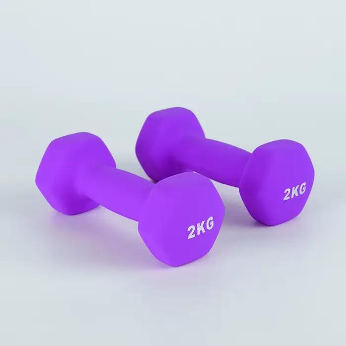 Petit haltère Fitness maison femme haltère enfant étudiant Hexagonal solide fer femmes 2KG mat maiso