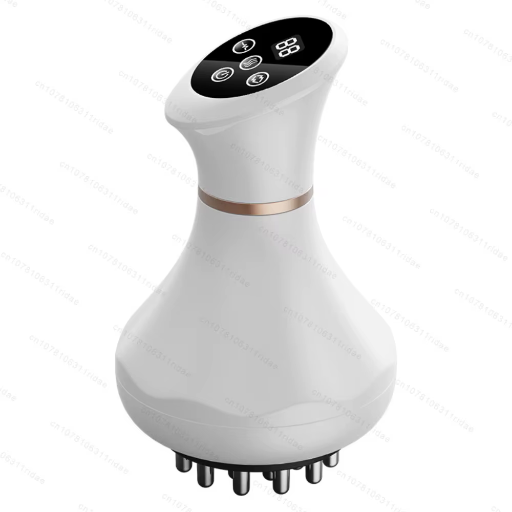 Appareil Anti-Cellulite Meridian, Brosse de Massage pour Sculpter le Corps, Drainage Lymphatique, Gr