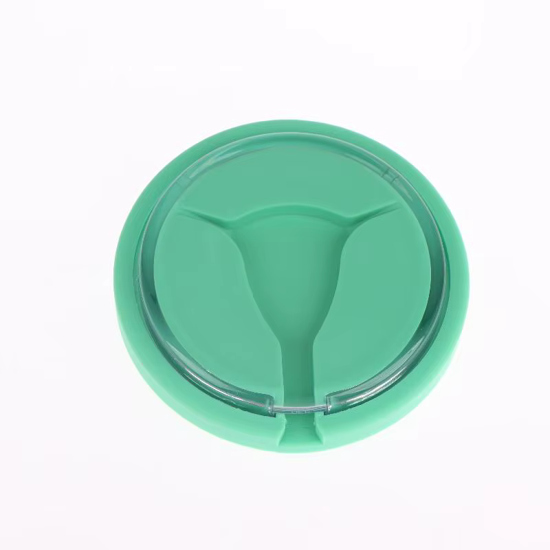 Modèle de formation IUD en forme de Y pour l'enseignement et la présentation en clinique – Modèle IU