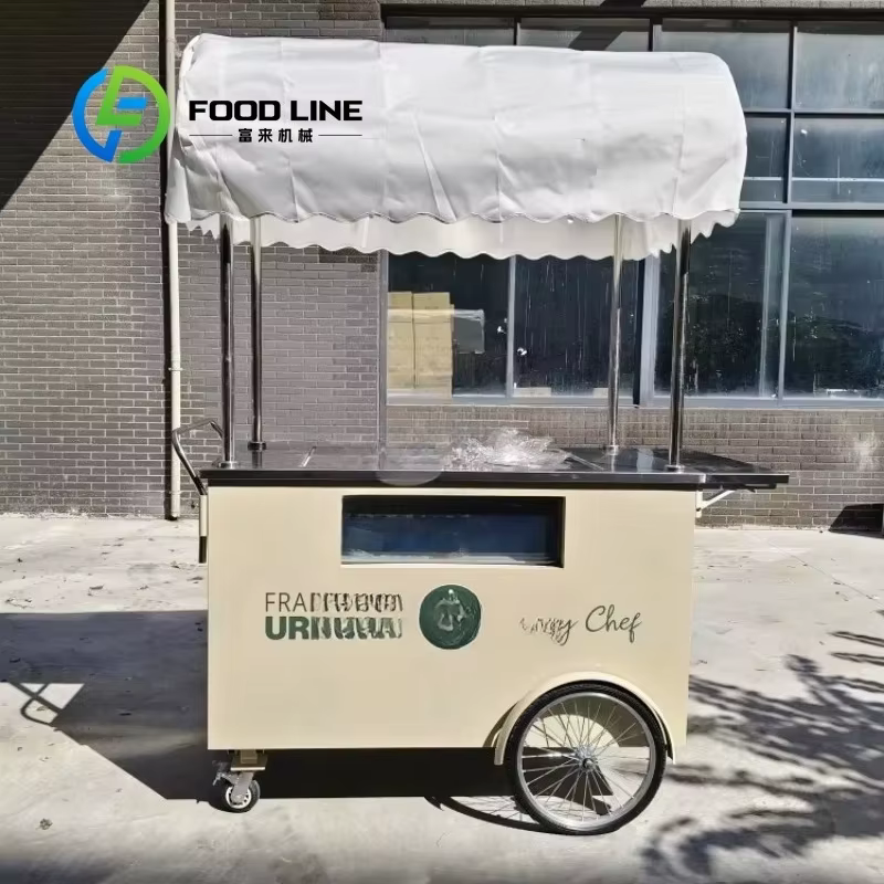 Vélo de vente ambulante personnalisé de haute qualité pour glaces, avec étagère réglable, chariot de
