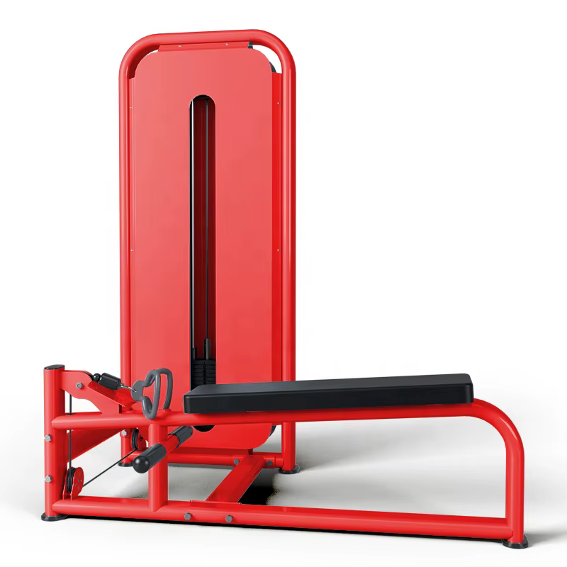 Machine à rameur à charge libre robuste pour l'entraînement du dos, équipement de musculation pour s