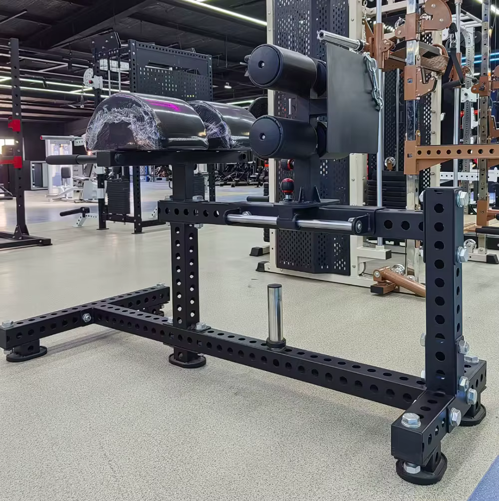 Équipement de gymnastique de Fitness, chaise romaine, entraînement des fessiers, Extension du dos de