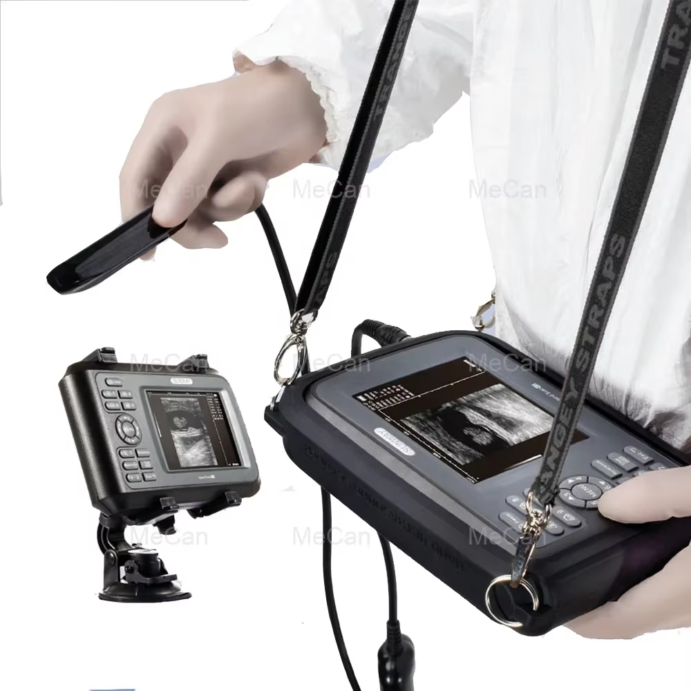 Portatil cochon grossesse vétérinaire échographie hine cheval sonde rectale balayage vétérinaire BW 